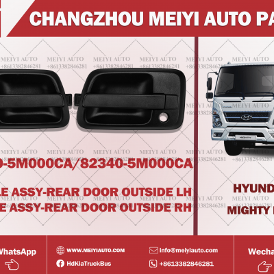 MIGHTY EX OUTER DOOR HANDLE